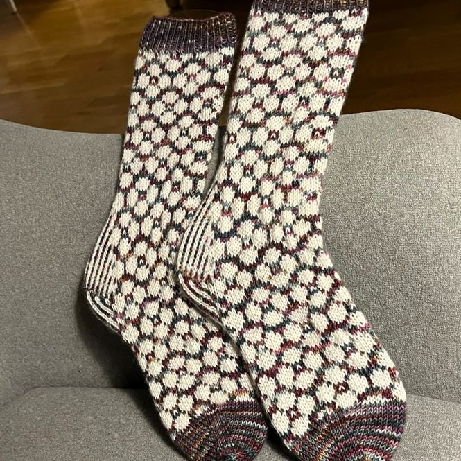 Hovedbilde Bloom Socks